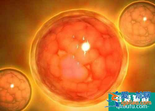 俄羅斯試管嬰兒需要做哪些檢查,資料表明：女性抽煙會影響生育能力？