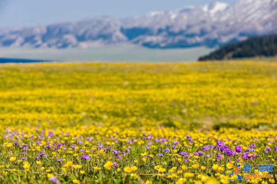 國慶節去哪旅游人少,2018國慶節旅游哪里人少,國慶節去哪里玩人少? 國慶節去哪旅游人少,2018國慶節旅游哪里人少,國慶節去哪里玩人少?