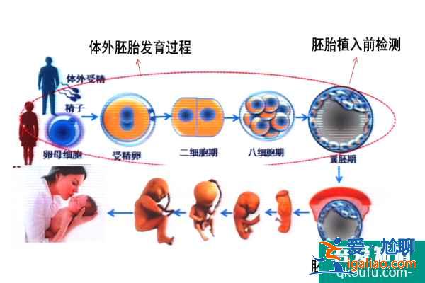 試管嬰兒專家解答:大齡女性如何規避胎停/流產風險?? 試管嬰兒專家解答:大齡女性如何規避胎停/流產風險??