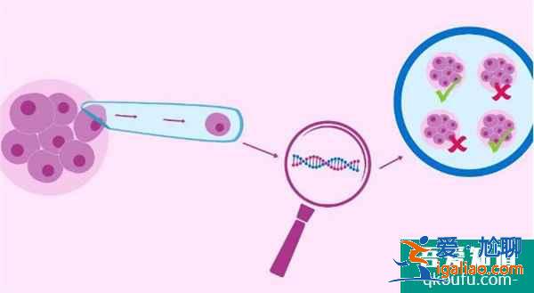 試管嬰兒專家：從4個方面確保IVF的安全性？