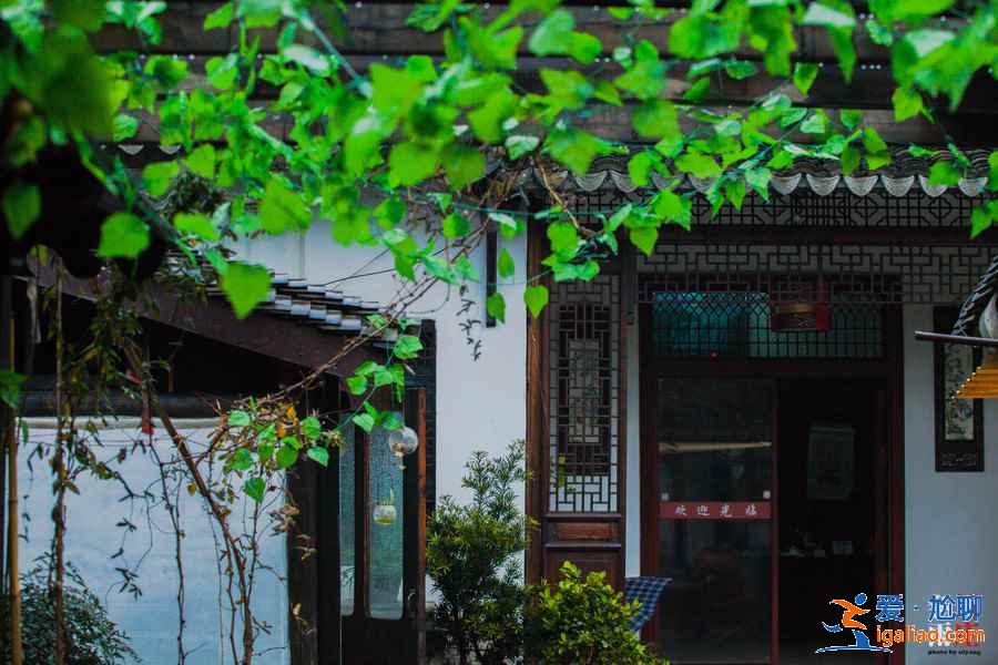 中秋節(jié)上海周邊游，2018中秋上海周邊旅游推薦？