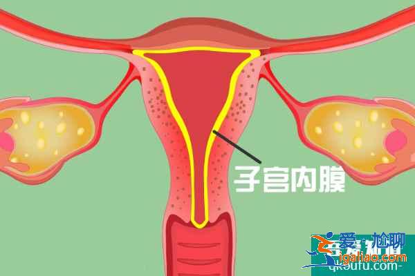女性宮腔積水做試管嬰兒的成功率有多高？？