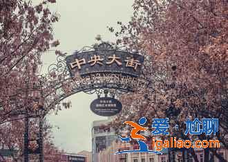 元旦不去哈爾濱，后悔一整年！？