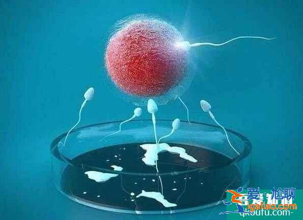 我們能通過試管技術(shù)來懷上雙胞胎嗎?有哪些注意事項呢?? 我們能通過試管技術(shù)來懷上雙胞胎嗎?有哪些注意事項呢??