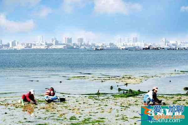 國內(nèi)冬天旅游推薦 國內(nèi)冬天應(yīng)該去哪些地方旅游？