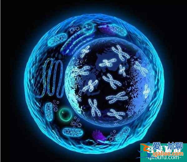 試管嬰兒技術：可以排查掉胚胎9號染色體臂間倒位嗎？？