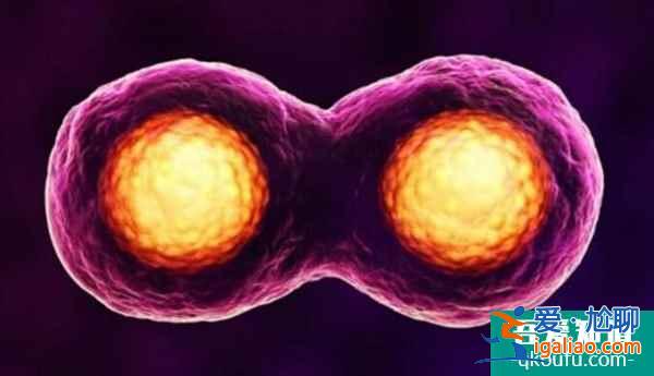 現在能去泰國做試管嬰兒嗎？