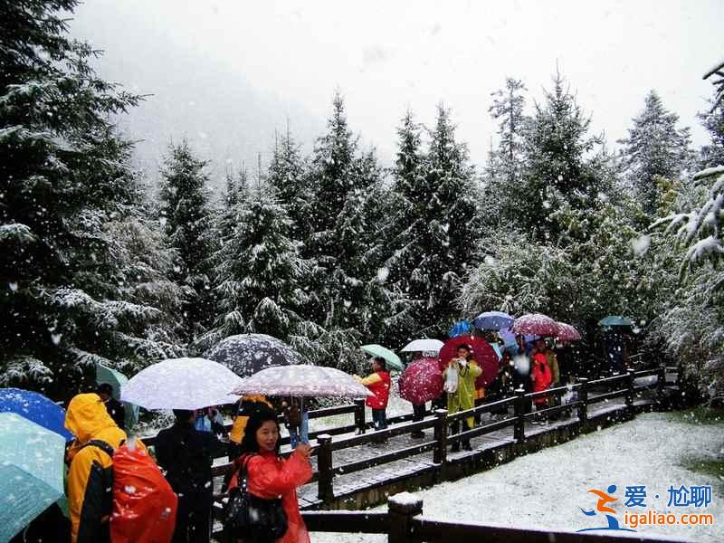 【春節去九寨溝】九寨溝春節好玩嗎,九寨溝春節開放嗎? 【春節去九寨溝】九寨溝春節好玩嗎,九寨溝春節開放嗎?