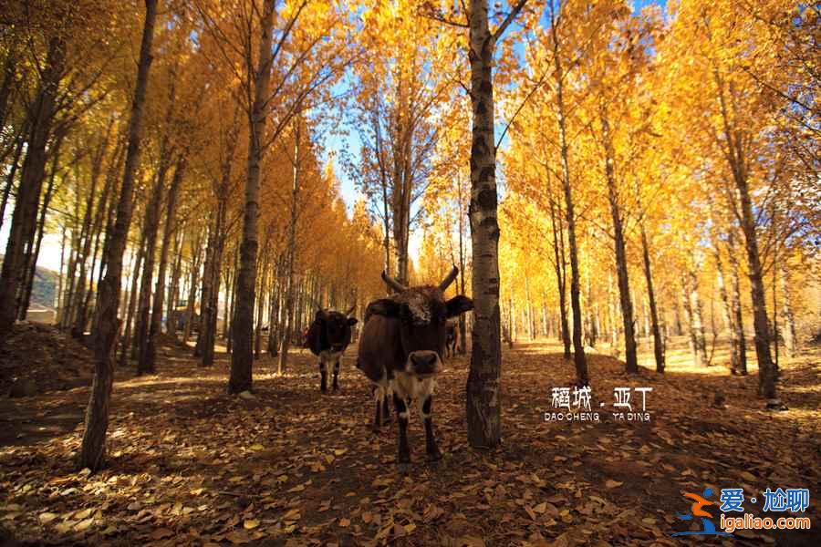 【十一旅游哪里人少】2018十一旅游景好人少的地方? 【十一旅游哪里人少】2018十一旅游景好人少的地方?