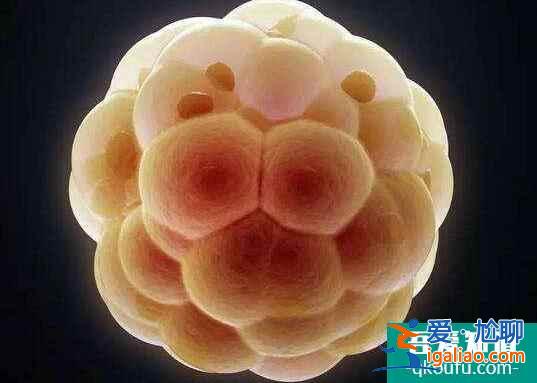 為什么試管胚胎移植過后會出現頭暈的癥狀?? 為什么試管胚胎移植過后會出現頭暈的癥狀??