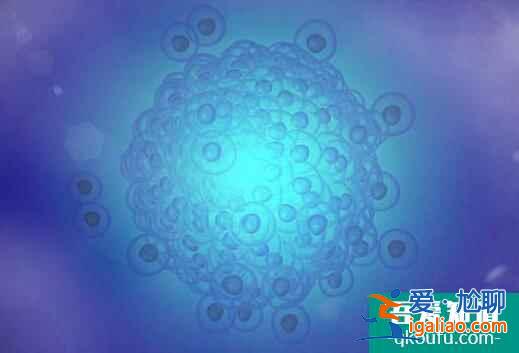 哪些因素對于胚胎的移植時間會有影響呢?? 哪些因素對于胚胎的移植時間會有影響呢??