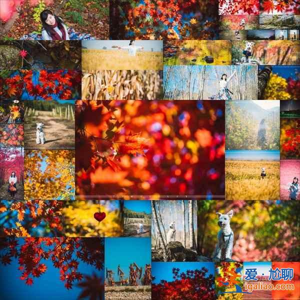 【國慶節(jié)江西免費(fèi)景點(diǎn)】江西十一國慶節(jié)307個(gè)景點(diǎn)免費(fèi)迎客? 【國慶節(jié)江西免費(fèi)景點(diǎn)】江西十一國慶節(jié)307個(gè)景點(diǎn)免費(fèi)迎客?