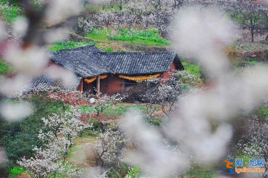 【2018國慶節四川天氣】2018國慶節四川天氣預報，2018四川十一天氣如何？