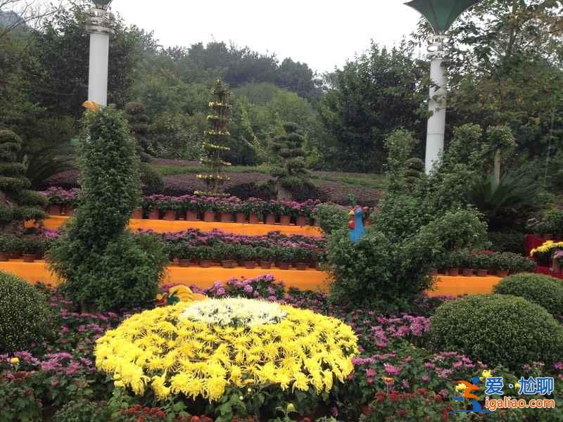 【國慶節(jié)江西免費(fèi)景點(diǎn)】江西十一國慶節(jié)307個(gè)景點(diǎn)免費(fèi)迎客? 【國慶節(jié)江西免費(fèi)景點(diǎn)】江西十一國慶節(jié)307個(gè)景點(diǎn)免費(fèi)迎客?