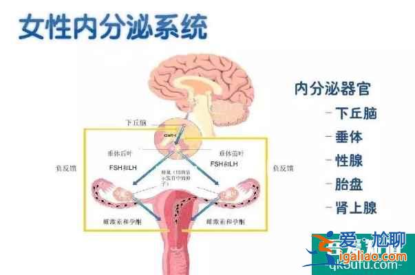 子宮內膜薄能做泰國試管嬰兒嗎？？