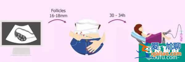 高齡失獨夫妻做泰國試管嬰兒，如何降低風(fēng)險？？