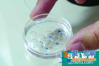 三代試管成功率高嗎?? 三代試管成功率高嗎??