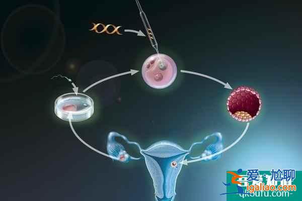去做試管嬰兒：做好赴美前的準備工作和IVF方案制定？