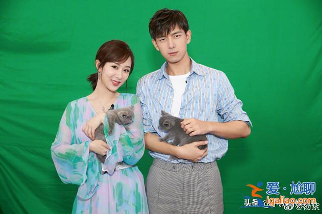 于正評今夏三爆，肖戰(zhàn)演技好王一博年輕，楊紫參演男演員就不用演