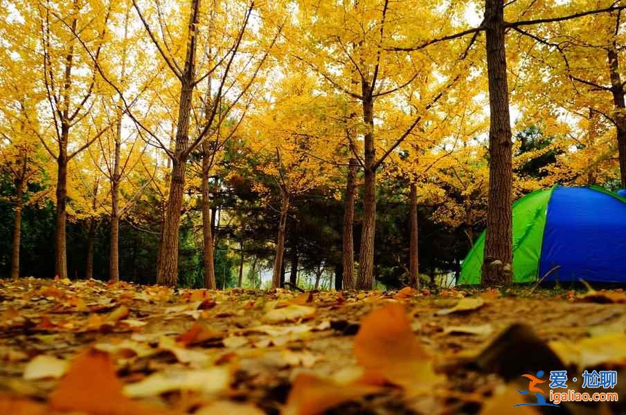 【國慶十一北京免費(fèi)公園全名單】國慶節(jié)當(dāng)天北京免費(fèi)公園大盤點(diǎn)？