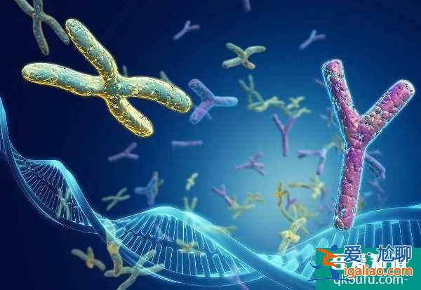 分析導致新生兒畸形的原因，泰國試管嬰兒技術孕前優生把控？