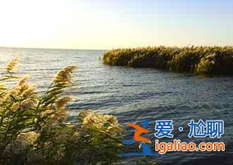 國慶去額濟納人多嗎,2018十一額濟納住宿貴嗎? 國慶去額濟納人多嗎,2018十一額濟納住宿貴嗎?
