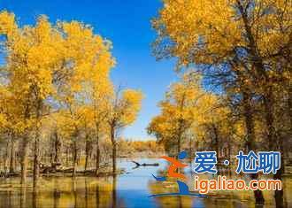 國慶去額濟納人多嗎,2018十一額濟納住宿貴嗎? 國慶去額濟納人多嗎,2018十一額濟納住宿貴嗎?