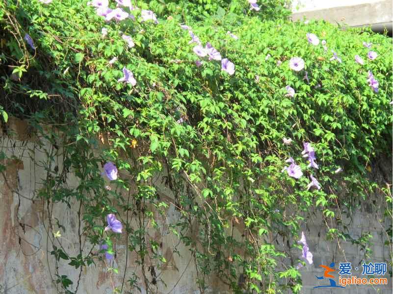 【福州國(guó)慶天氣】2018福州十一國(guó)慶期間天氣預(yù)測(cè)? 【福州國(guó)慶天氣】2018福州十一國(guó)慶期間天氣預(yù)測(cè)?