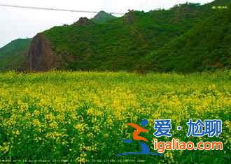 【國內(nèi)】2018國慶節(jié)去哪旅游好，十一去哪旅游好，國慶適合去哪里旅游？