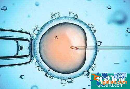 泰國(guó)試管嬰兒可以做雙胞胎嗎？？