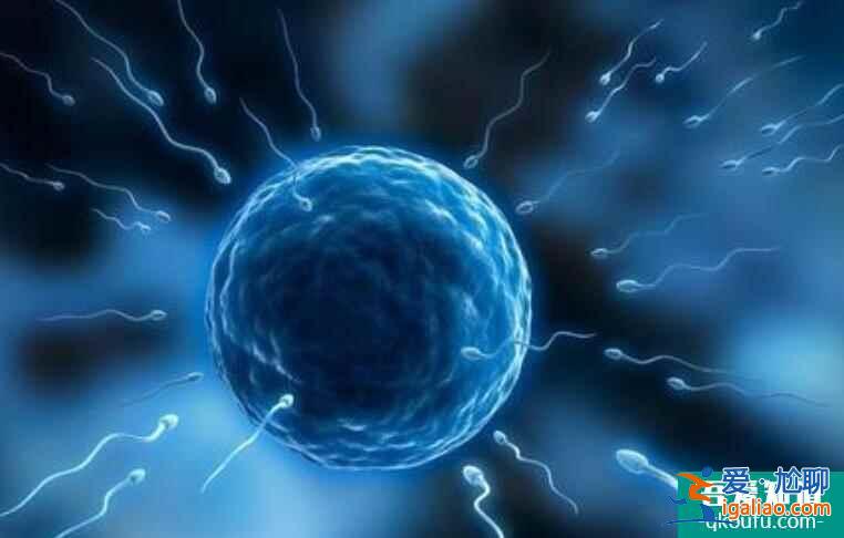 泰國一二三代試管技術分別適應哪些人群?周期有多久?? 泰國一二三代試管技術分別適應哪些人群?周期有多久??