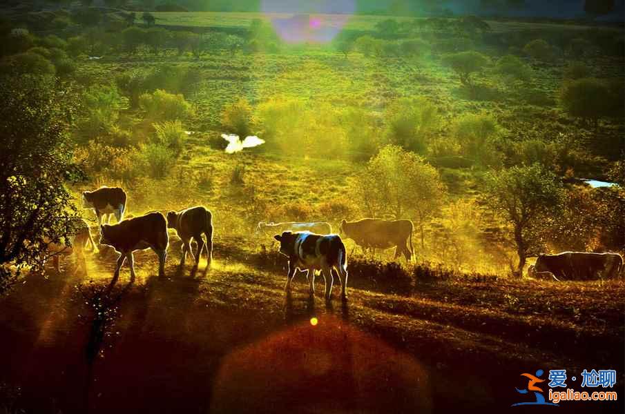 十一適合去哪里玩,2018十一長假適合去哪里,十一旅游推薦? 十一適合去哪里玩,2018十一長假適合去哪里,十一旅游推薦?