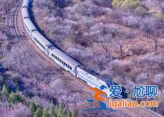 張各莊銀杏葉怎么去,2018昌平張各莊銀杏葉時間、地點、交通指南? 張各莊銀杏葉怎么去,2018昌平張各莊銀杏葉時間、地點、交通指南?