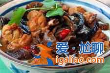 香菇燉雞？