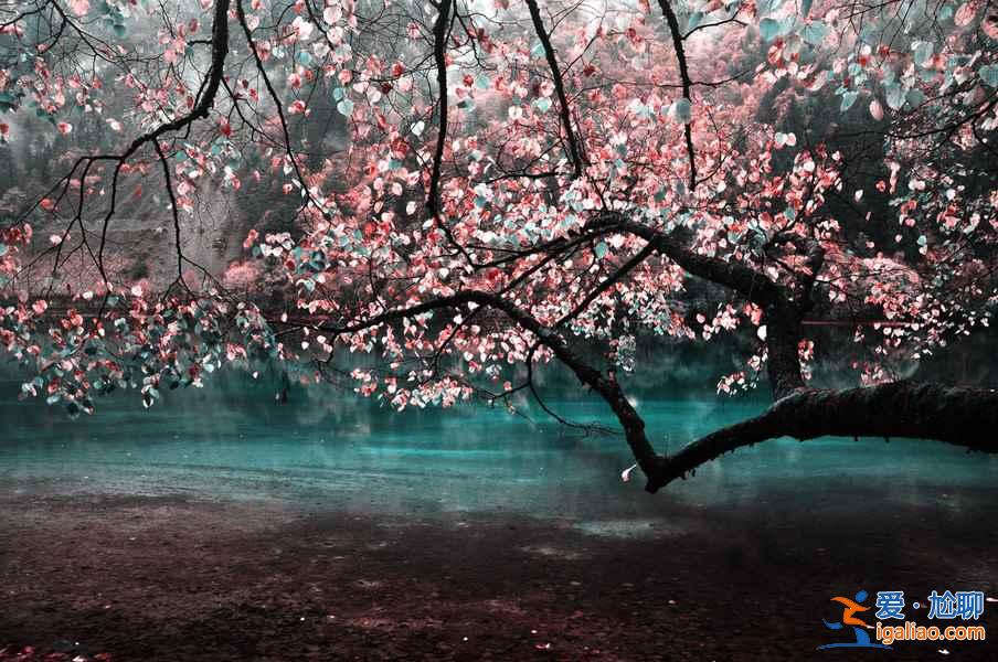 十一旅游好去處，2018十一旅游推薦，十一國慶去哪好？