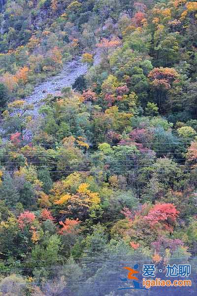 【國慶去哪里玩】2018國慶去哪里玩比較好，國慶旅游推薦？