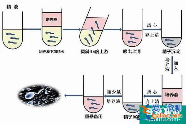 去泰國做試管嬰兒，做好4點提高精子質量？
