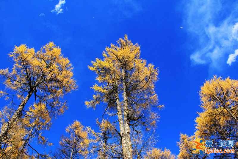【國慶去哪里玩】2018國慶去哪里玩比較好，國慶旅游推薦？