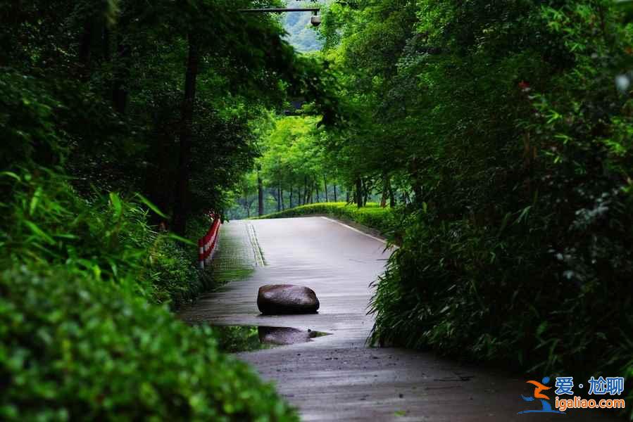 杭州十一天氣,2018杭州十一國慶天氣,10月杭州天氣? 杭州十一天氣,2018杭州十一國慶天氣,10月杭州天氣?