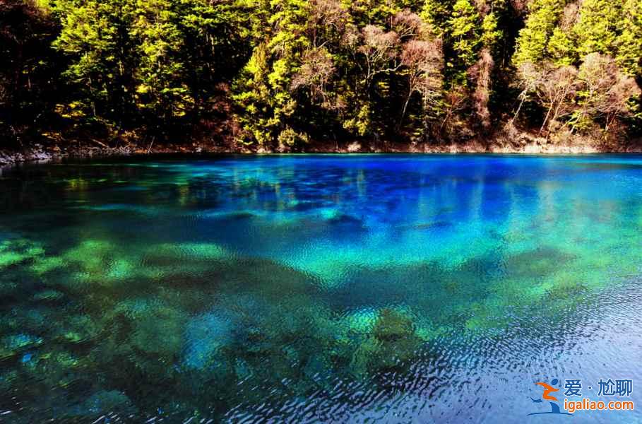 2018端午節(jié)去九寨溝怎么樣,端午節(jié)去九寨溝穿什么? 2018端午節(jié)去九寨溝怎么樣,端午節(jié)去九寨溝穿什么?