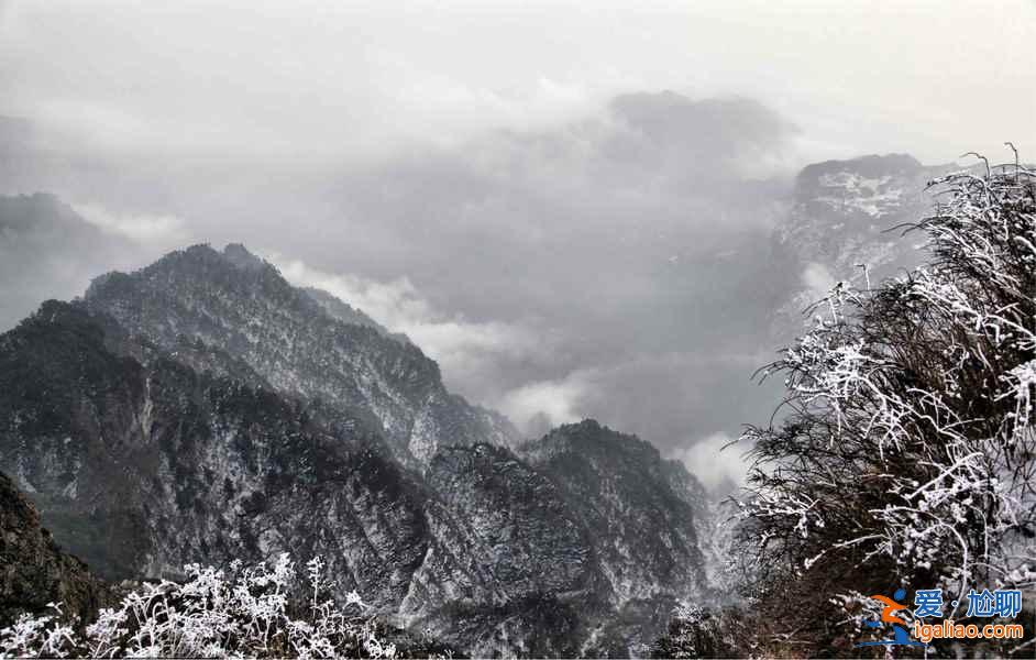 元旦去峨眉山怎么玩,峨眉山元旦日出幾點? 元旦去峨眉山怎么玩,峨眉山元旦日出幾點?