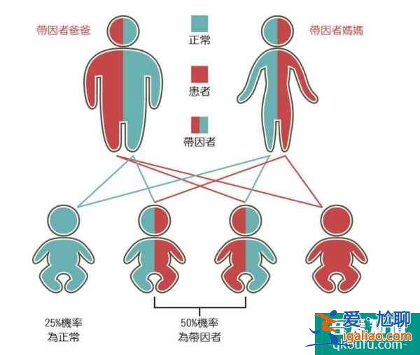 泰國試管嬰兒的適用人群有哪些？？