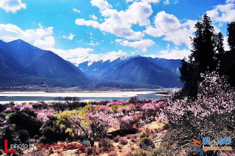 2018清明節高速是否免費,清明節高速免費時間? 2018清明節高速是否免費,清明節高速免費時間?