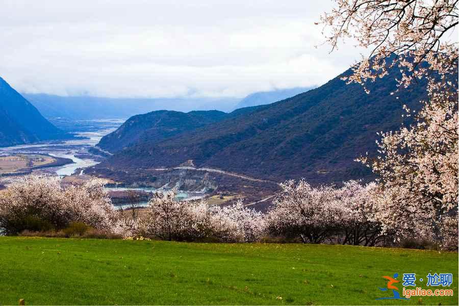 2018清明節高速是否免費,清明節高速免費時間? 2018清明節高速是否免費,清明節高速免費時間?