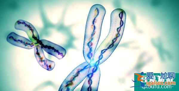 高齡女性可以做試管嬰兒?jiǎn)?？高齡女性去泰國(guó)做試管嬰兒要做好哪些準(zhǔn)備？？