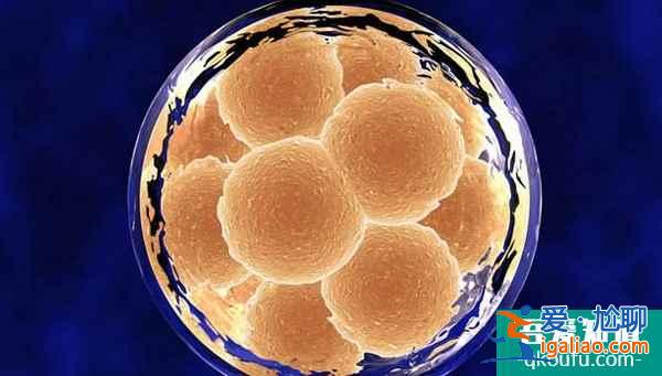 高齡女性可以做試管嬰兒?jiǎn)?？高齡女性去泰國(guó)做試管嬰兒要做好哪些準(zhǔn)備？？