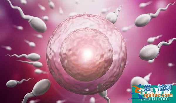 高齡女性可以做試管嬰兒?jiǎn)?？高齡女性去泰國(guó)做試管嬰兒要做好哪些準(zhǔn)備？？