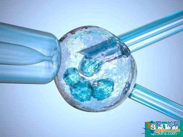 身體有卵巢囊腫在是否會讓試管嬰兒不成功？？