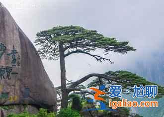 端午去黃山人多嗎,2018端午節去黃山怎么樣? 端午去黃山人多嗎,2018端午節去黃山怎么樣?