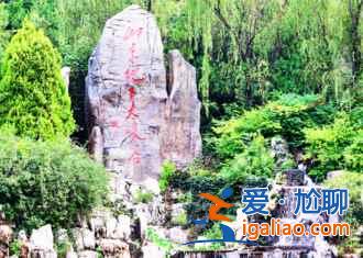 臨沂銀杏園，最美的秋景？